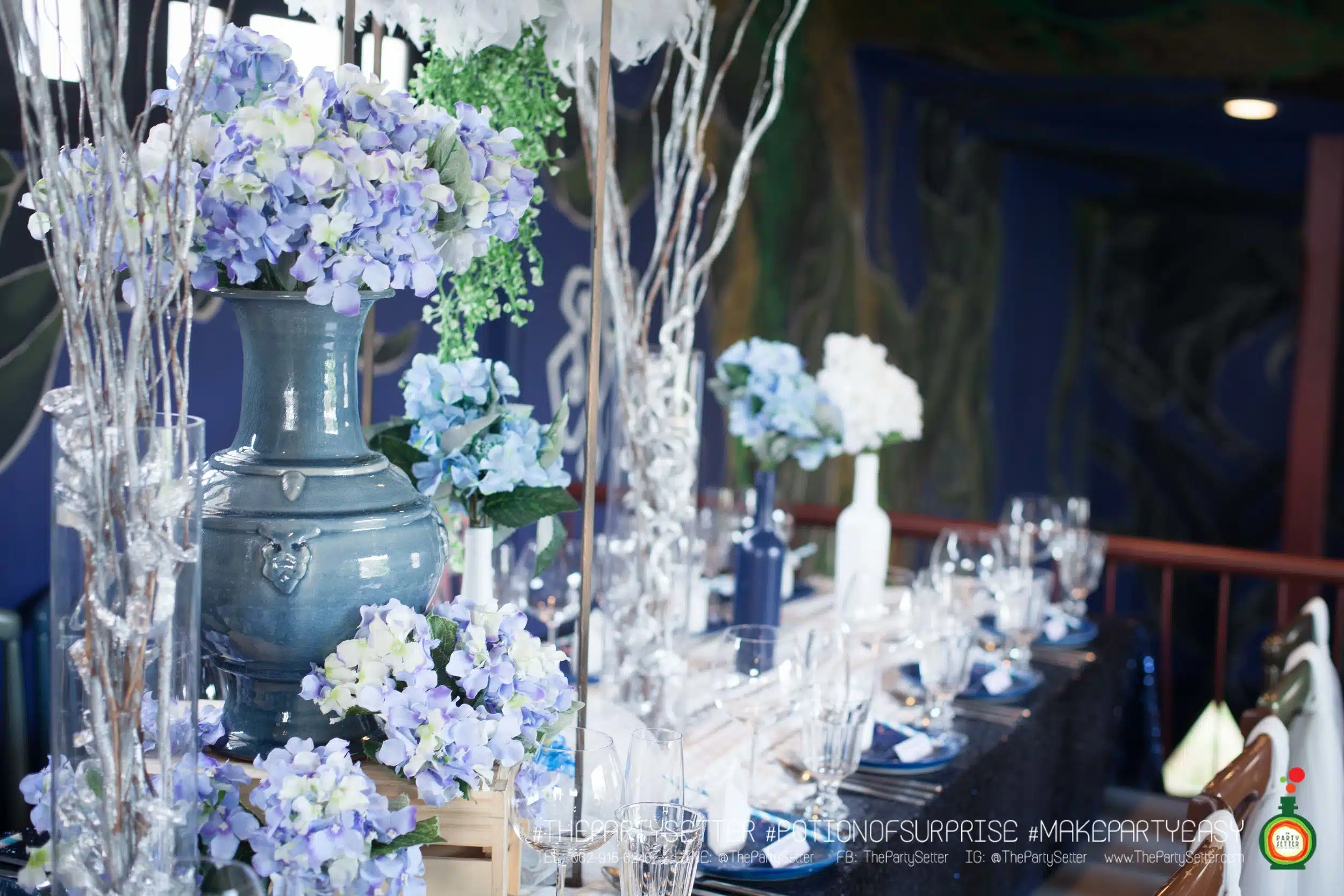 WHITE AND BLUE 9 the party setter colorful theme White Blue 11