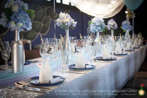 WHITE AND BLUE 16 the party setter colorful theme White Blue 18