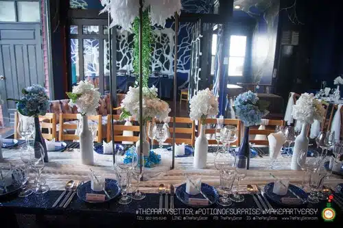 WHITE AND BLUE 12 the party setter colorful theme White Blue 2