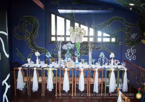 WHITE AND BLUE 15 the party setter colorful theme White Blue 8